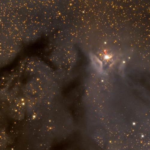 Page de couverture de L'origine de la vie, 1 : L'h&eacute;ritage des &eacute;toiles