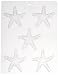 CK Products 3-Inch Starfish Chocolate Mold