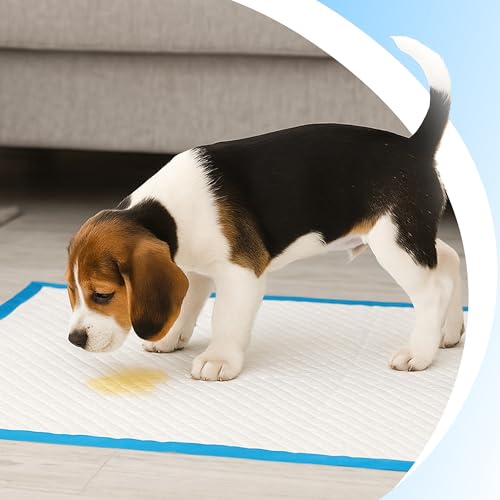 Retoo Trainingspads für Hunde & Welpen 40x60 cm, 100 Stück PIPI Matten Einweg – 6-lagig, Auslaufsicher & Saugfähig, Schnell Trocknende Oberfläche – Ideal für Inkontinenz & Stubenreinheit