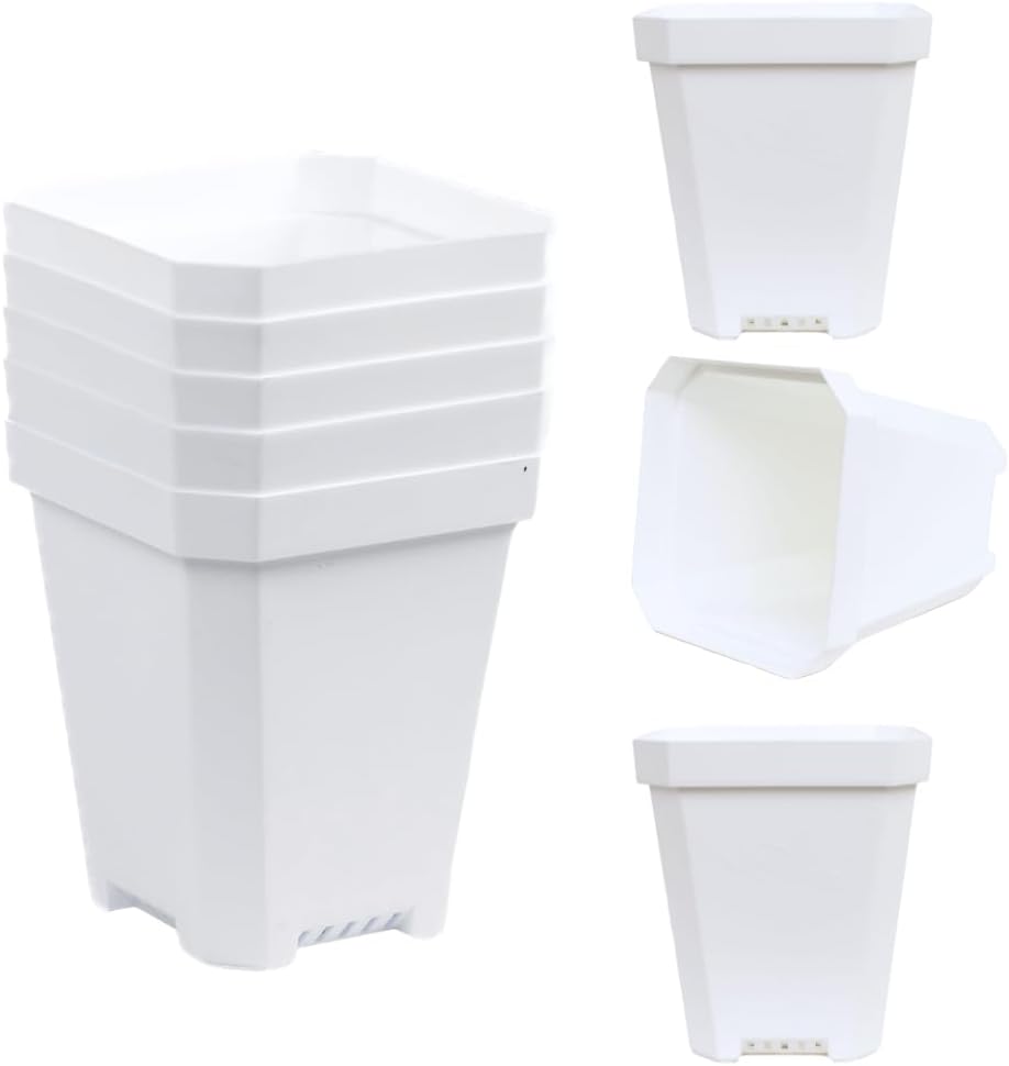 Bootstrap Farmer 8 pc Orange Heavy Duty Square 5 in Nursery Pots for Seed Starting Flowers Germination with Drainage Holes