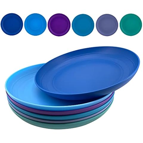 AOYITE 8 inch Plastic Plates Reusable, Unbreakable Plastic Dinner Plates set of 6, BPA Free Dishwasher Safe & Microwave Kids Hard Plates for Kitchen Lunch Party Outdoor Cover