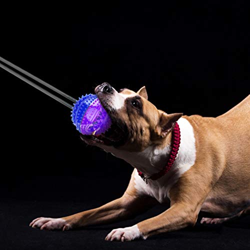 VILLCASE Pet Mordida Molar Brinquedo Com Ventosa CÃ£o Mastigar Brinquedos Auto Jogar Borracha Mastig