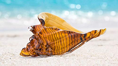 Qfkris Amber Glass Conch, Hand Blown Seashell Art Glass Figurine, Crystal Glass Paperweight, Home Decor Collectible Statue #TOP6