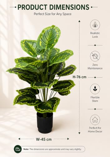 Image of Cocco.BUA Artificial Plant with Black Pot, 18 Leaves, 76 CM (2.5 Feet) (Calathea Orbifolia Plant)