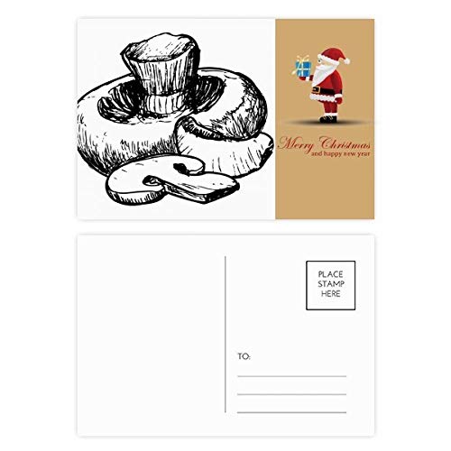 Cartes postales Swamm Line : lot de 20 illustrations réalistes pour vos correspondances