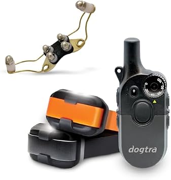 Dogtra 200iQ 2-Dog Remote Training E-Collar with Titanium Enhanced Contacts | 1/2 Mile Range, 100 Levels, Tone & Vibration, Compact, Waterproof, One-Handed Control, Better Comfort & Connection