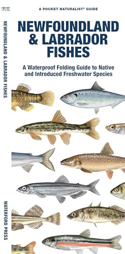 Newfoundland & Labrador Fishes: A Folding Guide to Native and Introduced Freshwater Species (Nature Observation North America)