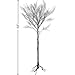National Tree Company Artificial Tree Decoration, Black, Leafless, Includes Stand, Halloween Collection, 68 Inches