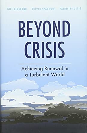Beyond Crisis: Achieving Renewal in a Turbulent World book cover