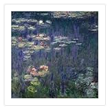 Imprimé sur papier fine art haute résolution, réalisé avec un traceur 12 couleurs, il reproduit fidèlement les détails même dans les nuances.