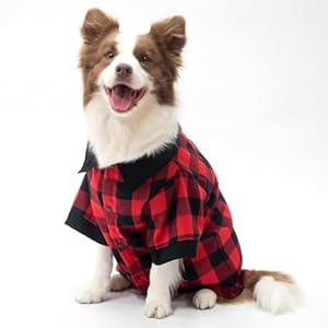KOOLTAIL Dog Shirt, Red Buffalo Plaid Pet Shirts, Black Color Clash Cute Dog Apparel Clothes Suitable for All Seasons, Comfortable Dog T-Shirt for Small Medium Large Dogs Cats, Pet Outfit Costume, L