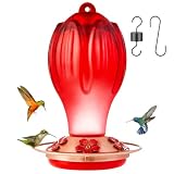 Petbank Hummingbird Feeders for Outdoors, 33OZ Glass, 5 Feeding Ports, Ant Moat Hanging Hook, Red
