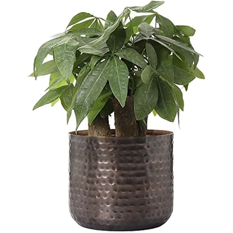 MyGift 6-Inch Vintage Copper Tone Metal Vase Cover