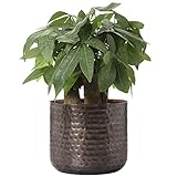 MyGift 6 Inch Vintage Copper Tone Metal Vase, Flower Pot with Hammered Texture, Cylindrical Indoor Succulent Plant Container - Handcrafted in India