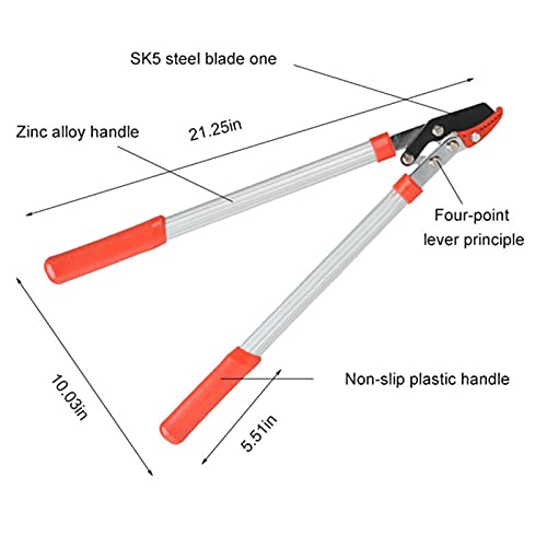 Consejos y reviews para comprar Cortadoras para bonsai los 10 mejores. 20 Imagen adicional