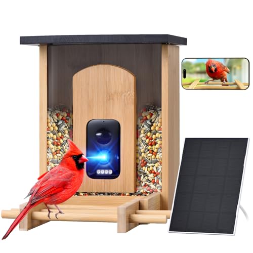 Two Men Convicted in Federal Crackdown on Illegal Whale Part Trafficking 11 Camera Bird Feeder,Smart Bird Feeder with Camera,High-End Bamboo ...