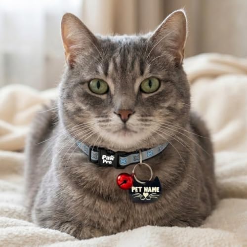 Image of PAWPRO HANDMADE Reflective Pet Collar with Custom ID Tag - Adjustable Collar with Bell for Cats & Small Dogs - Personalized Name Tag (Gray Sketch)