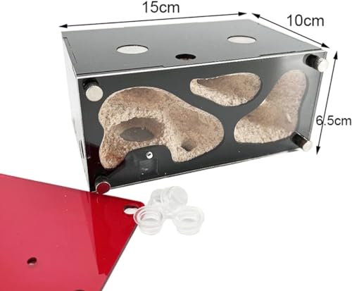 Expansão infinita Formiga Fazenda Concreto Ninho de Formiga Acrílico Casa de Insetos Colônia Bebedor