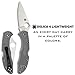 Spyderco Delica 4 Lightweight Signature Knife with 2.90