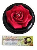Jittasil Thai Hand-Carved Soap Flower, 4 Inch Scented Soap Carving, Red Rose In Decorative Pine Wood Case
