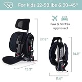 WAYB Pico Travel Car Seat Safety First Jive 2-in-1 Convertible Car Seat