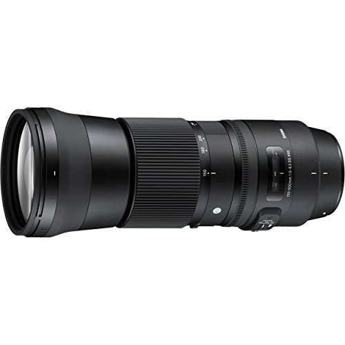 image for SSE Sigma 150-600mm f/5-6.3 DG OS HSM Contemporary Lens for Canon EF B