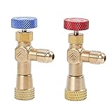 冷凍充電エアコンアダプターの R410A R22 1/4 "液体安全バルブホースR22銅アダプター (Color : 1 Set)