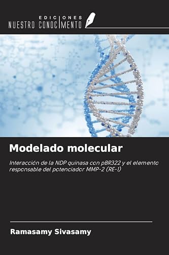 Modelado molecular: Interacción de la NDP quinasa con pBR322 y el elemento responsable del potenciador MMP-2 (RE-1)