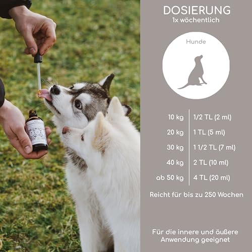 Bio Schwarzkümmelöl für Hunde 500ml, kaltgepresst aus kontrolliert biologischem Anbau DE-ÖKO-060, mit praktischem Dosierer