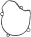 Winderosa Ignition Cover Gasket 816144