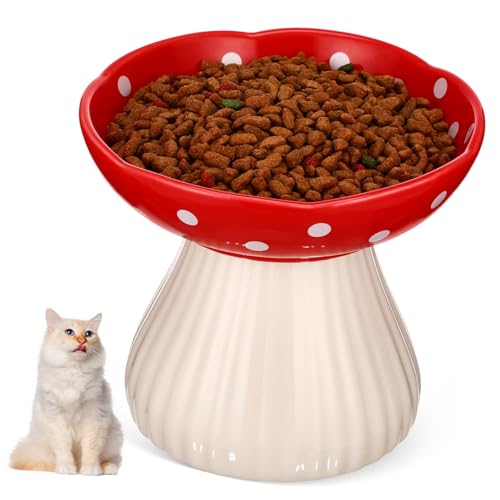 LOLIPPYY rLq L̎Ɗ֐߂ɗDH 萫Ɠ]|h~݌v ȃLmR^fUC