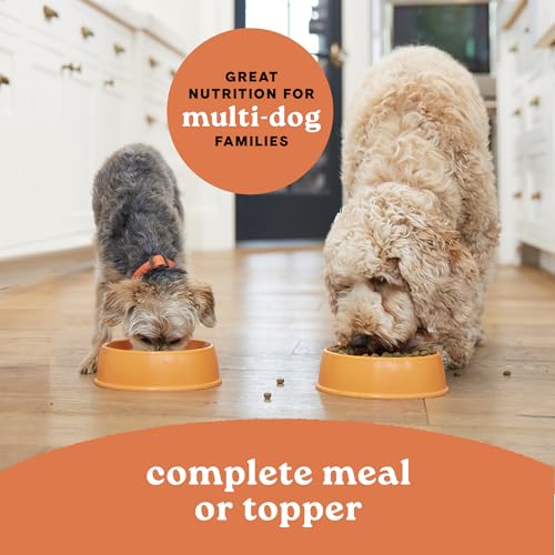 CANIDAE All Life Stages Dog Wet Food Made with Chicken & Rice, 13 oz by CANIDAE