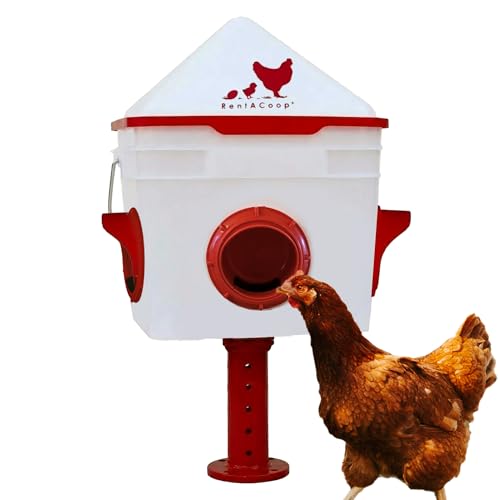 RentACoop 10lb 4-Port Feeder for Chickens & Smaller Birds