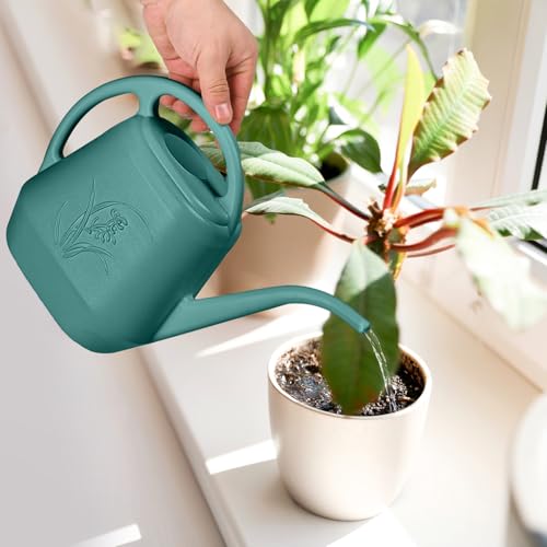 Image of Watering Can - for Home Plant Garden - 1 /2 Gallon - Emerald Green