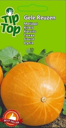 Nojaus Seklos Ensemble de graines de légumes de qualité supérieure - 16 variétés pour jardin et balcon - Taux de germination élevé, culture facile – vue 7