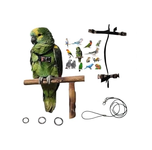 Arnés de loros ajustable para evitar escapes con cuello elástico de 3 mm 2