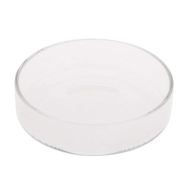 Foto 6 de 8 de Buwei Alimentador de pecera Acuario Camarones de Vidrio Alimentación Bowl Bandeja de Plato 6 Tamaño