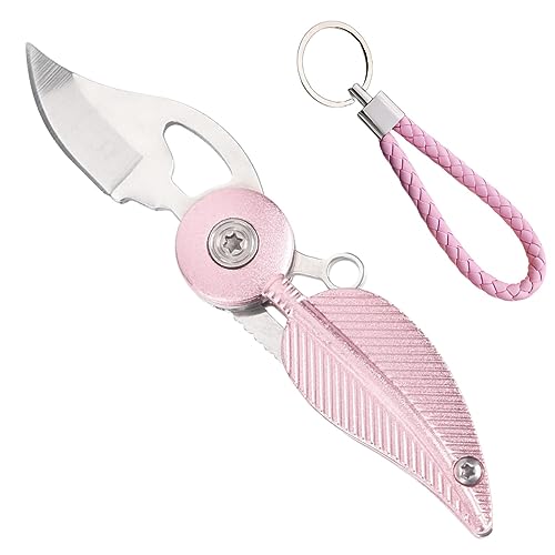 CHJIANAO Pocket Knife Womens with Chain,Small Pocket Knife,Cool Knives,Cool Gadgets,Edc Knife,Mini Pocket Knife,Cute Key Accessories(Pink)
