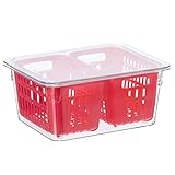 Oggi Berry Container for Fridge - Double Colander Basket - Ideal Berry Containers for Fridge, Includes Berry Colander Insert (8.75' x 6.75' x 3.75'), Red