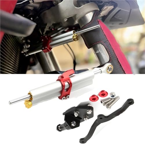 Kit support amortisseur direction Ducati Multistrada 1260 MTS950 accessoire moto argent