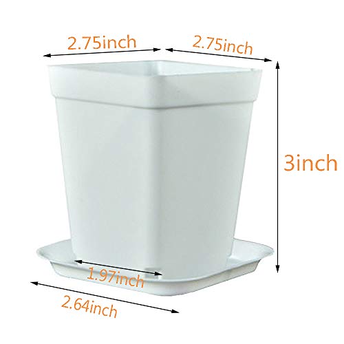 24 Pcs 3 Inch Multi Square Plastic Plant Pot,Square Plastic Flower Pots,Seedling Nursery Transplanting Planter Container For Home,Office And Garden(White) #TOP1