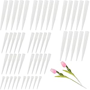 SZCXDKJ 50 Stück Blumen Posy Röhrchen Set