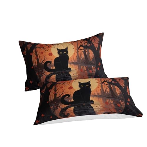 Parure de lit chat 3D king size en microfibre de qualité supérieure douce
