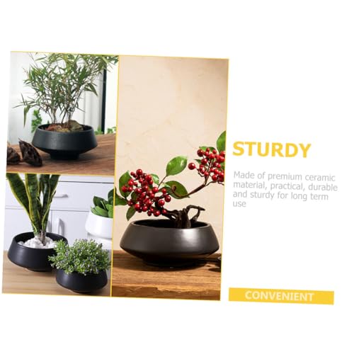 Pot de fleur céramique créatif idéal pour décorer un bureau moderne - 4