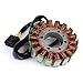 SIbeg Magneto Stator Coil Generator Stator Coil For Ho&nda CB600F CB 600F Hornet 600 PC41 2007-2013 CBF600N Naked CBF600S CBF 600S 2008-2010 31120-MFG-D01, SIbeg-12