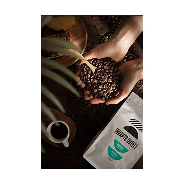 Incapto Coffee - Café en Grano de Honduras Marcala Magnolia 500g | Café Centroamericano | Dulce e Intenso | Aromático y… - Imagen 3