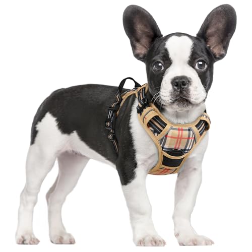 Image of rabbitgoo Dog Harness No Pull with 2 Leash Clips, Adjustable Soft Padded, Reflective Oxford No Choke Pet Vest with Easy Control Handle for Small Dogs, Beige Plaid, S