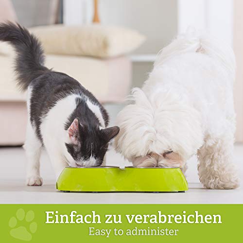 BELISY Läuse & Flöhe Bachblüten Kügelchen für Hunde & Katzen - Bei Läusen & Flöhen - Spezial Bachblütenmischung - alkoholfrei - 10 g