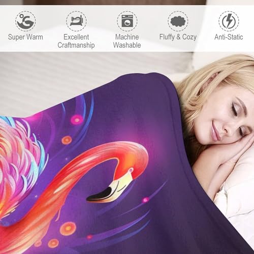 Manta de sofá mullida para las cuatro estaciones y noches de cine 4
