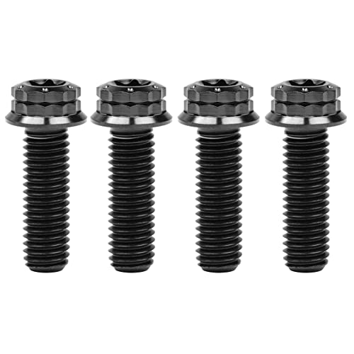 Titanium Flange M10 Bolt (M10x25mm Pitch 1.5mm, Black)